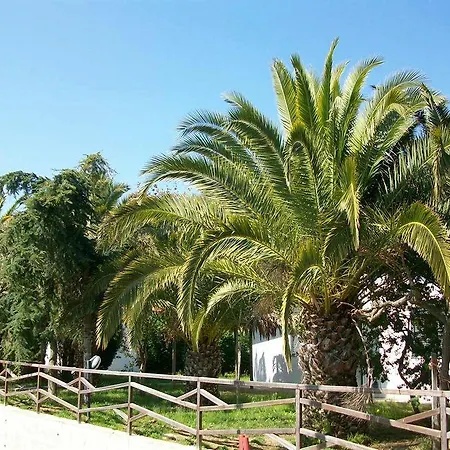 Sciaron
