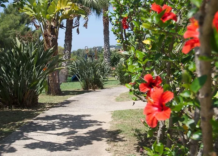 Отель Sciaron Капо-Ватикано